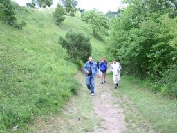 IMG_0061
